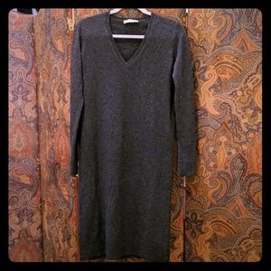 Grey Everlane Sweaterdress